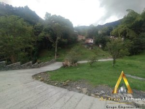 foto_104782_901271444_2884851124_ss