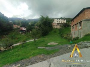 foto_104782_901271444_2892287809_ss