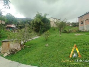 foto_104782_901271444_2897169886_ss