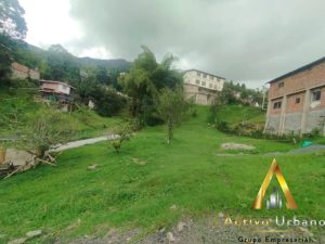 foto_104782_901271444_2898582339_ss