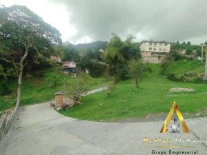 foto_104782_901271444_2898866273_ss