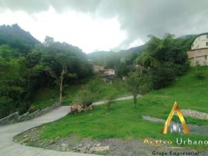 foto_104782_901271444_2907392176_ss