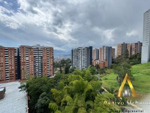 foto_104782_901271444_3055217914_ss