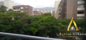 foto_104782_901271444_3122398050_ss