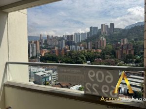 foto_104782_901271444_3125013209_ss