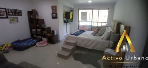 foto_104782_901271444_3146535111_ss