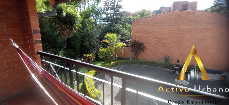 foto_104782_901271444_3147379456_ss