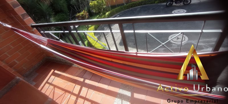 foto_104782_901271444_3158098944_ss