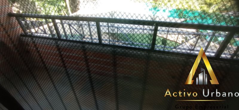 foto_104782_901271444_3202216399_ss