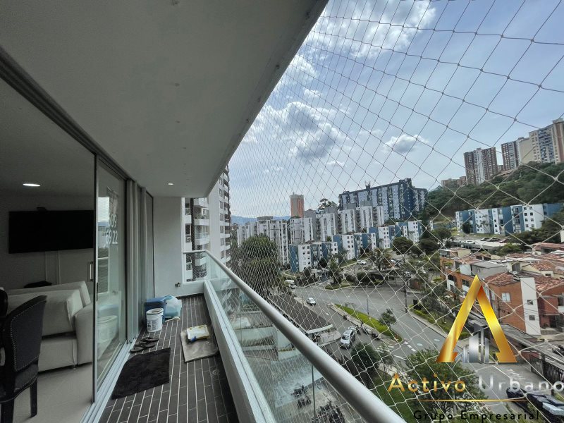 foto_104782_901271444_3213816666_ss