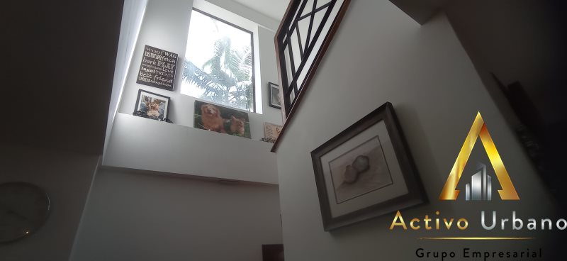 foto_104782_901271444_3238676730_ss