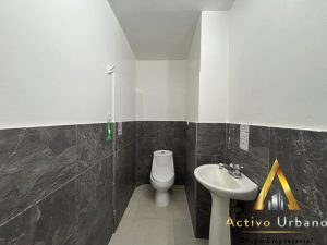 foto_104782_901271444_3269700503_ss