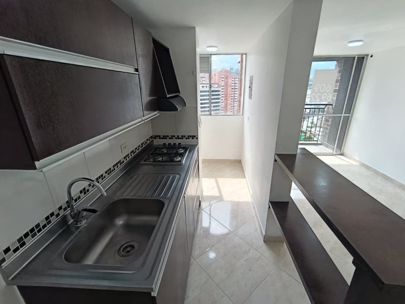 foto_104782_901271444_3350513486_ss