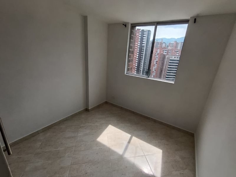 foto_104782_901271444_3371599844_ss