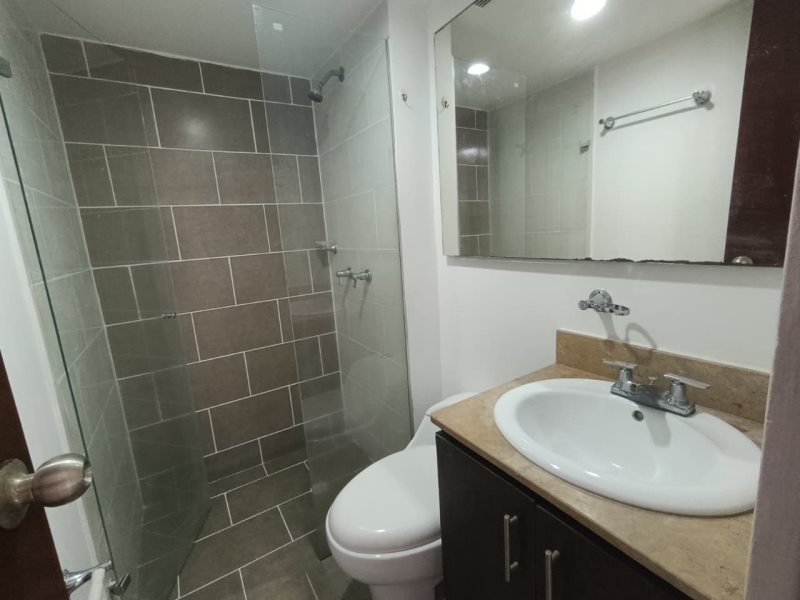 foto_104782_901271444_3404261560_ss