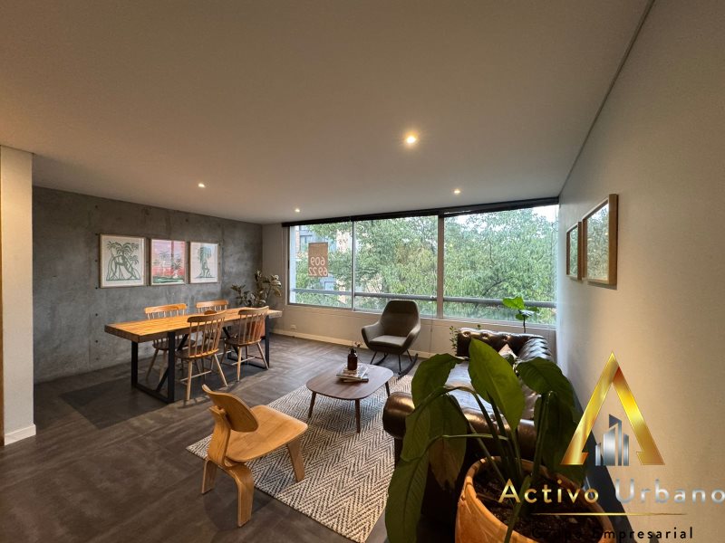 foto_104782_901271444_3554885385_ss