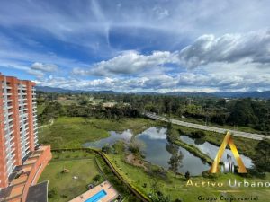 foto_104782_901271444_3559003187_ss