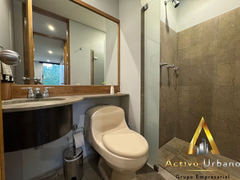 foto_104782_901271444_3567363954_ss