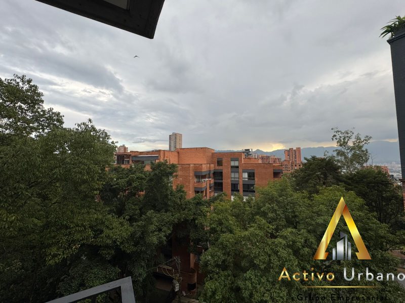 foto_104782_901271444_3587343713_ss