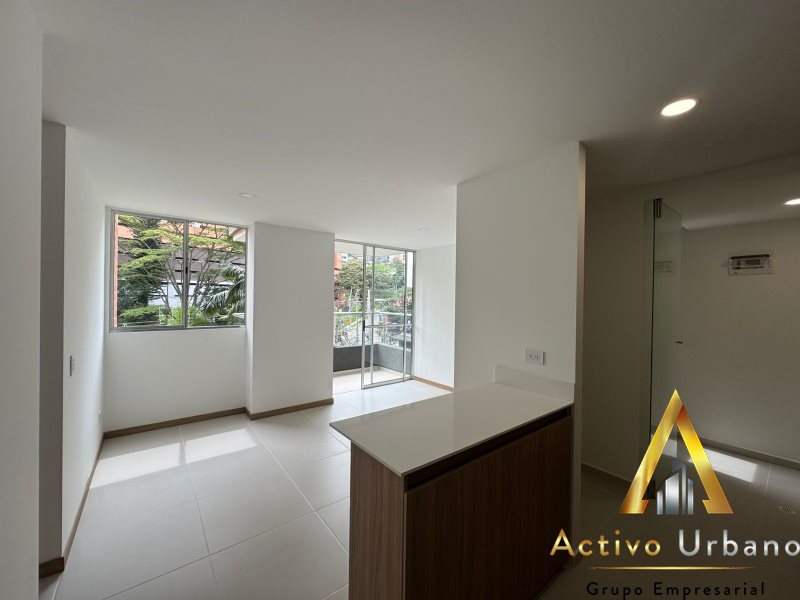 foto_104782_901271444_3648022383_ss