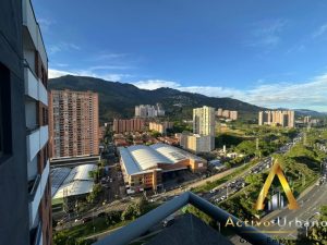 foto_104782_901271444_3668006689_ss