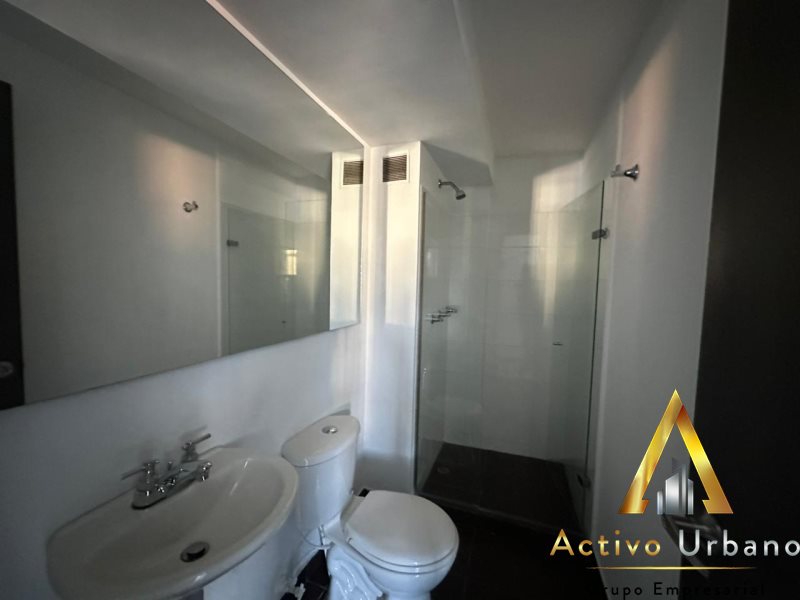 foto_104782_901271444_3683763367_ss