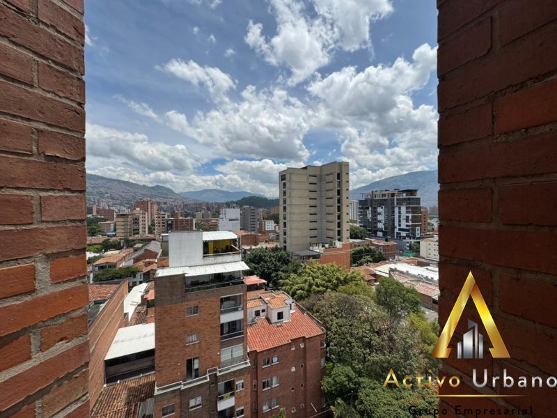 foto_104782_901271444_3683906893_ss