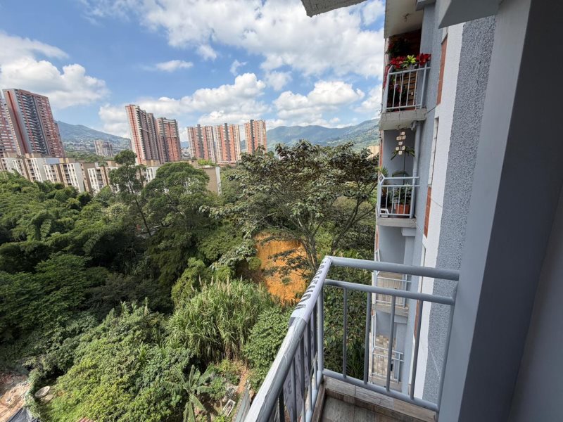 foto_104782_901271444_3856091497_ss