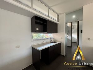 foto_104782_901271444_3898608666_ss