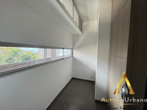 foto_104782_901271444_3898683979_ss