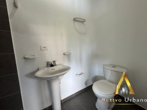 foto_104782_901271444_3933639493_ss