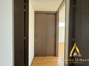 foto_104782_901271444_3970705545_ss