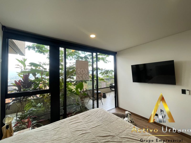 foto_104782_901271444_4060448323_ss