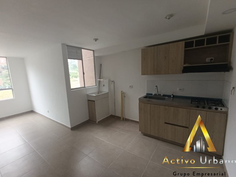 foto_104782_901271444_4218683646_ss