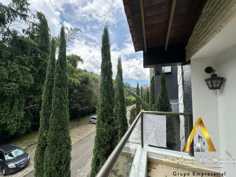 foto_104782_901271444_4317789990_ss