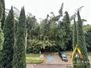 foto_104782_901271444_4338528400_ss