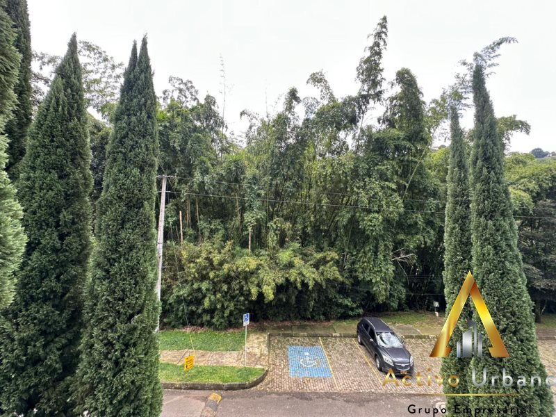 foto_104782_901271444_4338528400_ss