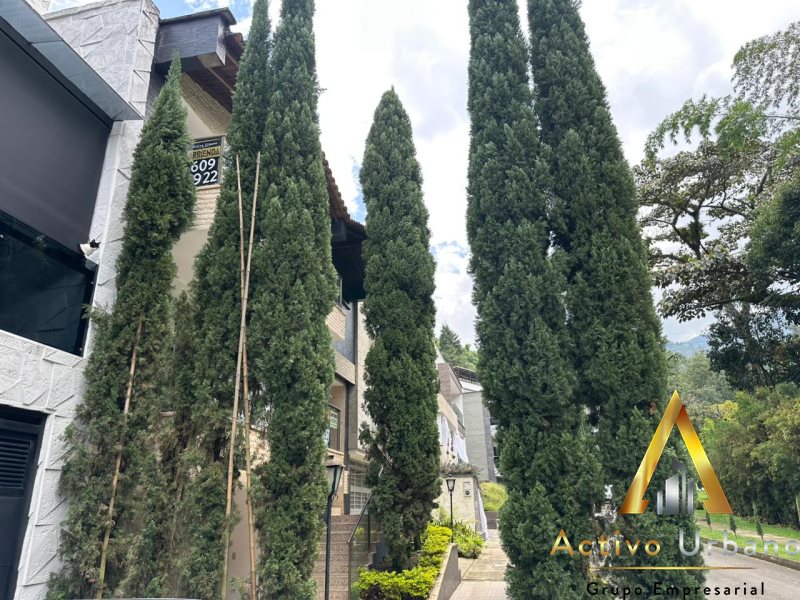 foto_104782_901271444_4348328446_ss