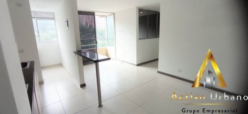 foto_104782_901271444_4552344398_ss