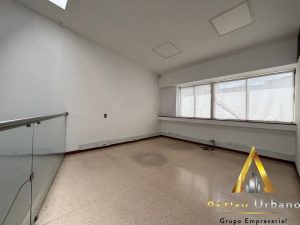 foto_104782_901271444_4953636876_ss