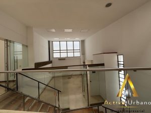 foto_104782_901271444_4969026990_ss