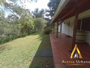 foto_104782_901271444_5016035276_ss