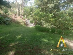 foto_104782_901271444_5016331081_ss