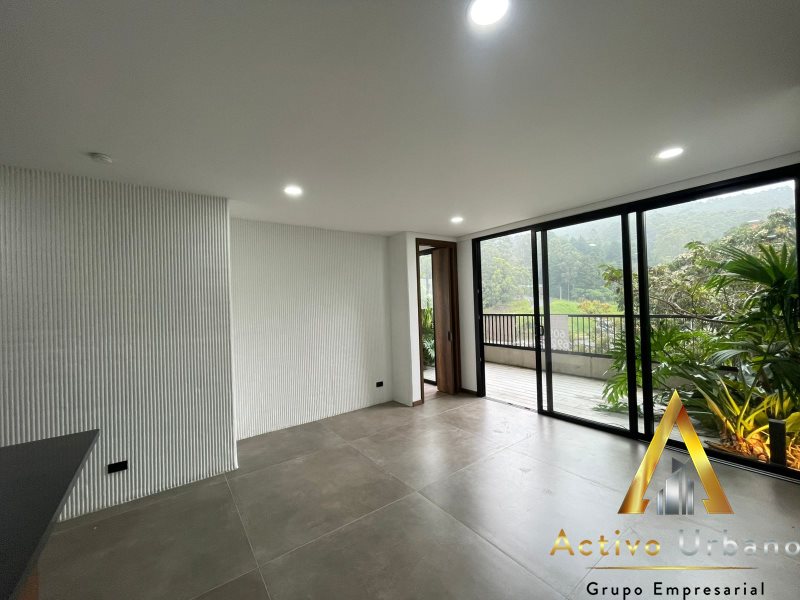 foto_104782_901271444_5036821039_ss