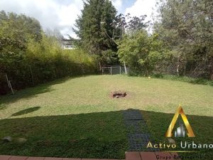 foto_104782_901271444_5048945292_ss