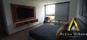 foto_104782_901271444_5078200302_ss