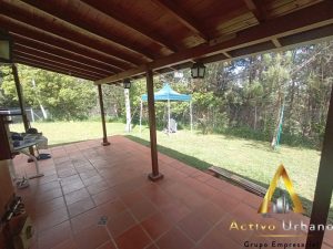 foto_104782_901271444_5114454305_ss