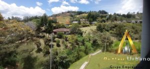 foto_104782_901271444_5118605494_ss