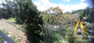 foto_104782_901271444_5124663697_ss