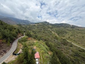 foto_104782_901271444_5180573605_ss